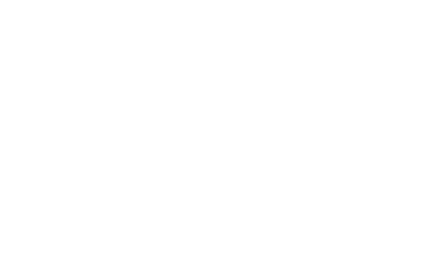 EuropAssistance-logo-bianco-e1733387617247